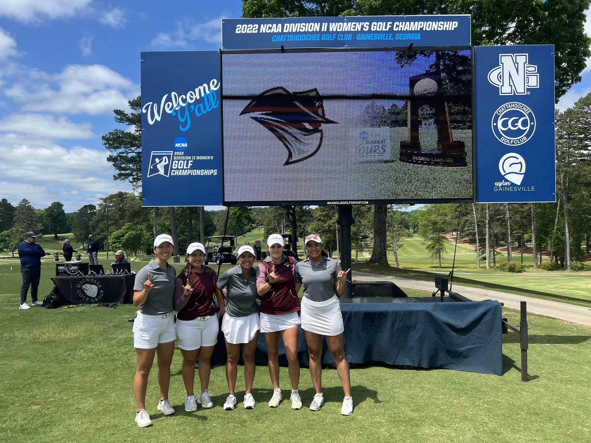 Bats Shop 2 Bats Shop -Bats Shop IMG 1120 preview